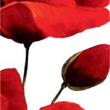 Схема вышивки «Триптих Маки часть 3»