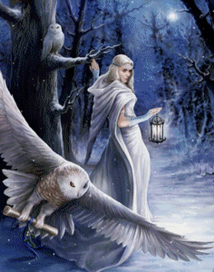 Снежная королева - филины, птицы, девушка, зима, пейзаж, совы - предпросмотр