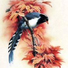 Схема вышивки «Птица на ветке клёна.»