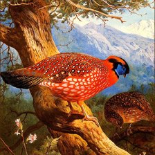 Схема вышивки «Серия "Птицы"»