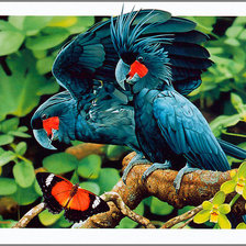 Схема вышивки «Серия "Птицы"»