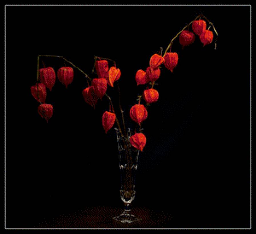 Физалис. - бокалы, растения, физалис, стекло, хрусталь - предпросмотр