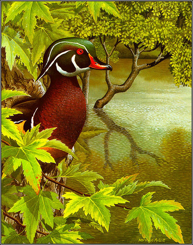 Серия "Птицы" - утки, река, птицы - оригинал