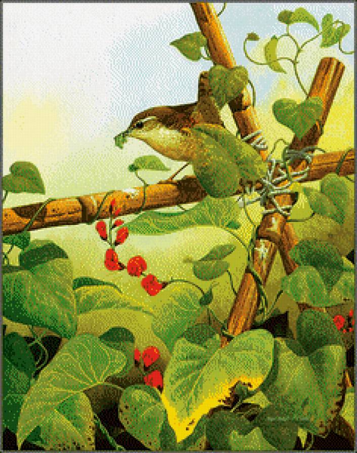 Серия "Птицы" - лето, птицы - предпросмотр