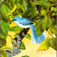 Схема вышивки «Серия "Птицы"»