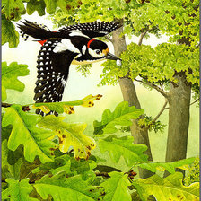 Схема вышивки «Серия "Птицы"»