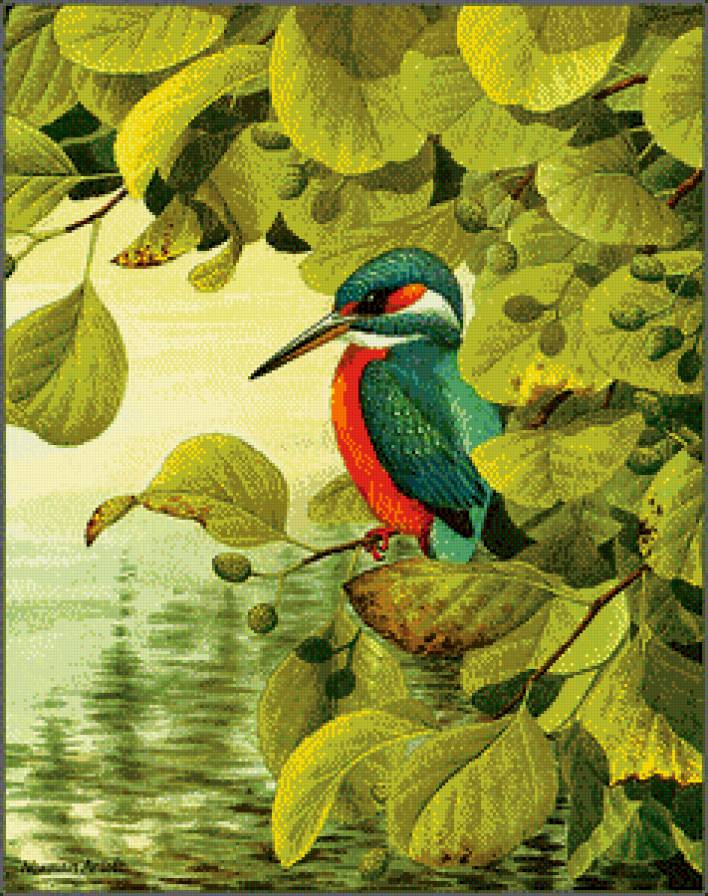 Серия "Птицы" - птицы, лето - предпросмотр