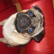 Схема вышивки «мич»