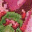 Предпросмотр схемы вышивки «Пионы» (№479558)