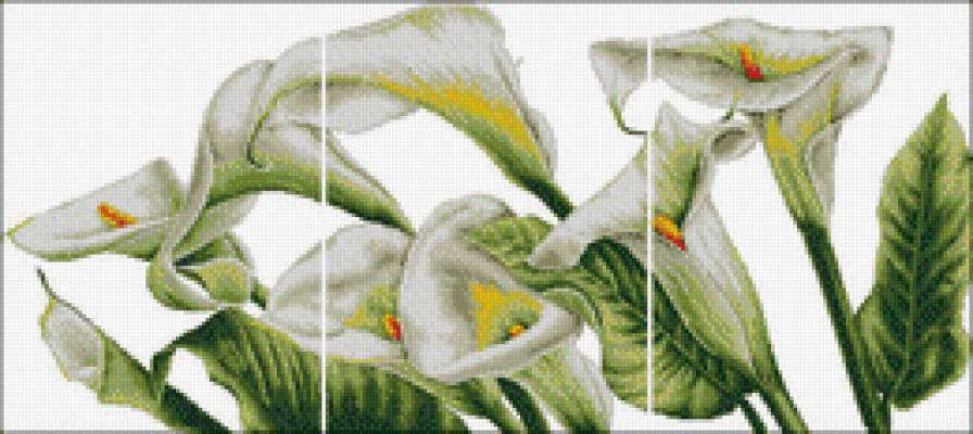 Триптих"Калы" - цветы - предпросмотр