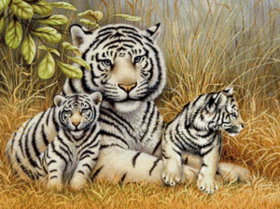 дикая семья - тигренок, тигр, природа, хищник, листья, живопись - предпросмотр