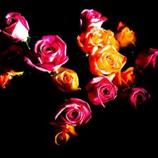 Схема вышивки «Розы»