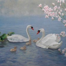 Схема вышивки «Лебеди»