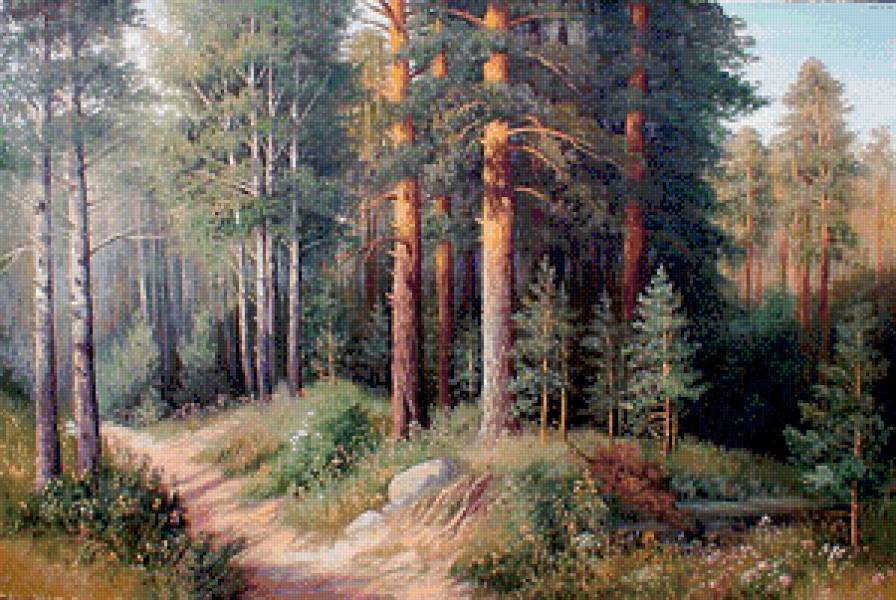 сосновый бор - предпросмотр