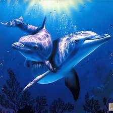 Схема вышивки «дельфины»