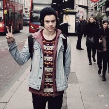 Схема вышивки «гарри»