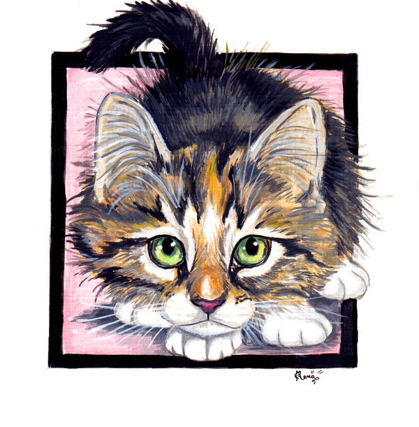 котенок - подушка, коты, домашние животные, котенок, кошки - оригинал