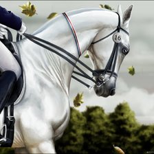 Схема вышивки «красивые лошади (подборка)»