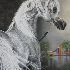 Схема вышивки «красивые лошади (подборка)»