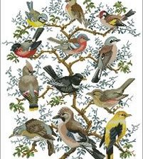 Схема вышивки «Птицы»