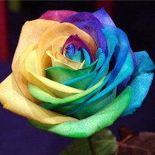 Схема вышивки «№480410»