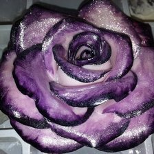 Схема вышивки «№480415»