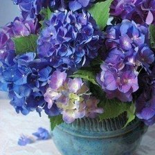 Схема вышивки «№480424»