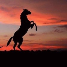 Схема вышивки «№480425»