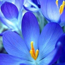 Схема вышивки «№480430»