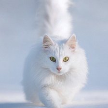 Схема вышивки «№480437»