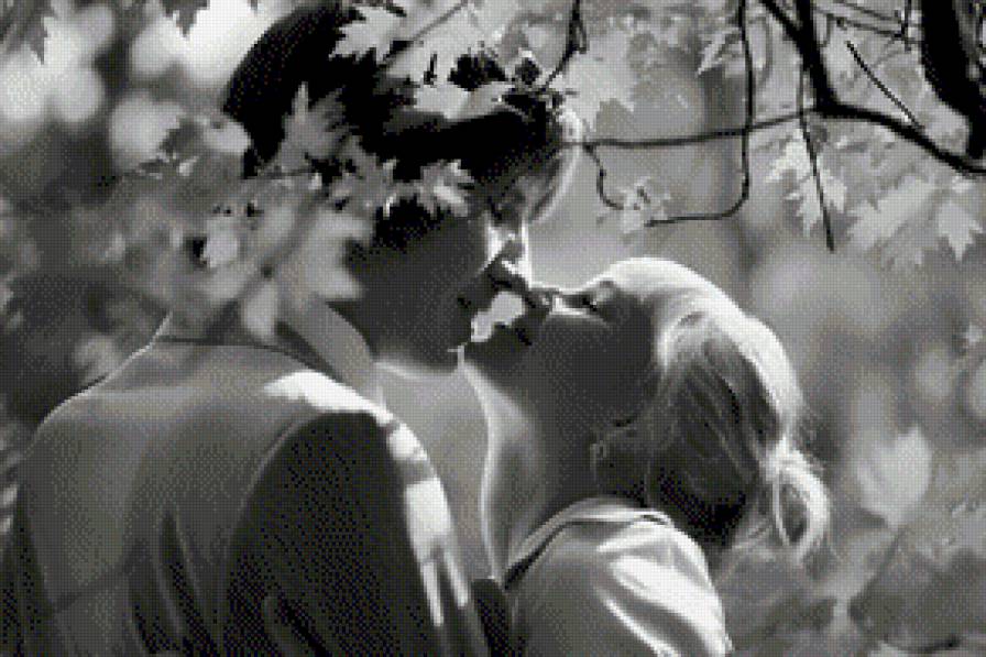 лето - черно-белое, монохром, любовь, лето - предпросмотр