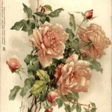 Схема вышивки «№480496»