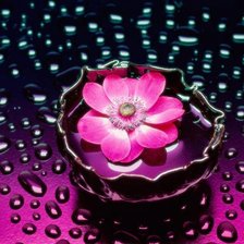 Схема вышивки «Цветок в каплях»