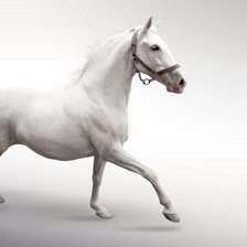 Схема вышивки «конь 28»