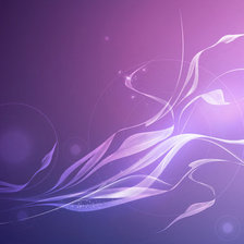 Схема вышивки «Нежность»