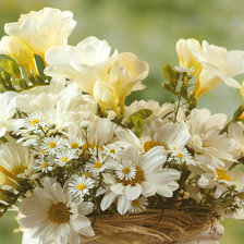 Схема вышивки «Белый букет»