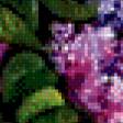 Предпросмотр схемы вышивки «букет сирени» (№480949)