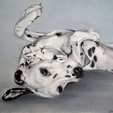 Схема вышивки «далматин»