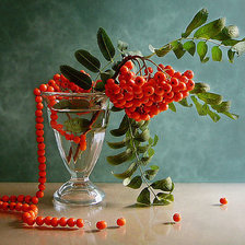 Схема вышивки «№481145»