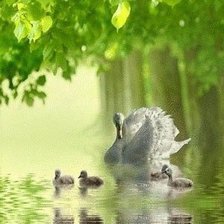 Схема вышивки «№481159»