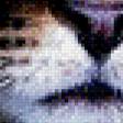 Предпросмотр схемы вышивки «котик.» (№481249)