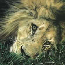 Схема вышивки «мечтатель»