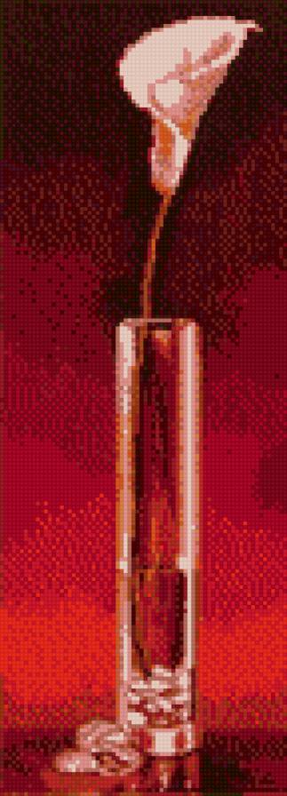 Белая калла в вазе на красном фоне - красный, белая, ваза, калла - предпросмотр