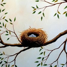 Птицы гнездо