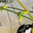 Предпросмотр схемы вышивки «Серия "Птицы"» (№481651)