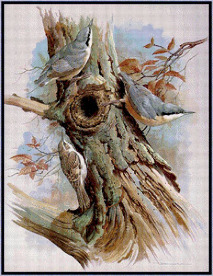 Серия "Птицы" - лес, птицы - предпросмотр