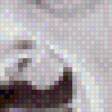 Предпросмотр схемы вышивки «Puaro_Mono» (№481660)