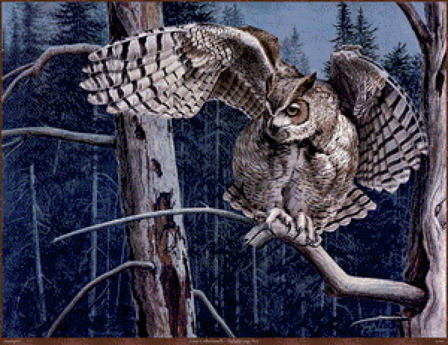 Серия "Птицы" - птицы, совы - предпросмотр