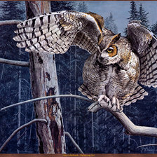 Схема вышивки «Серия "Птицы"»