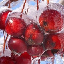 Схема вышивки «Мороз после дождя»